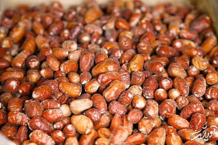 خواص پودر سنجد پودر سنجد